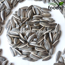 2018 Inner Mongolia New Crop Wholesale Raw Sunflower Seeds